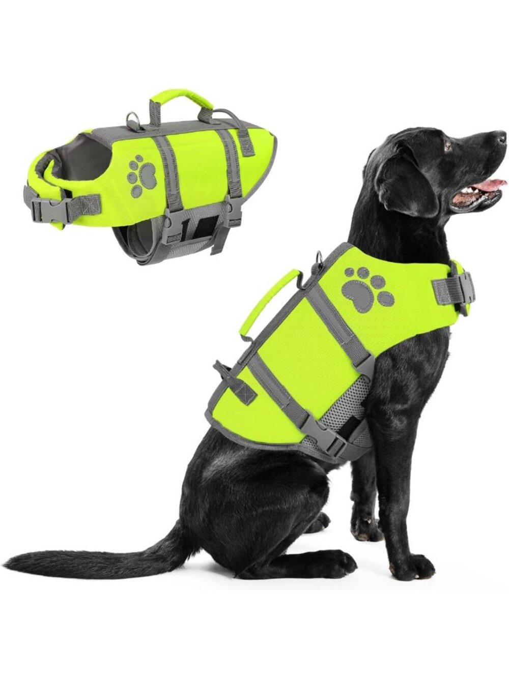 Vibrant Large Dog Life Jacket - Ripstop Swim Vest for Safety & Fun in Water